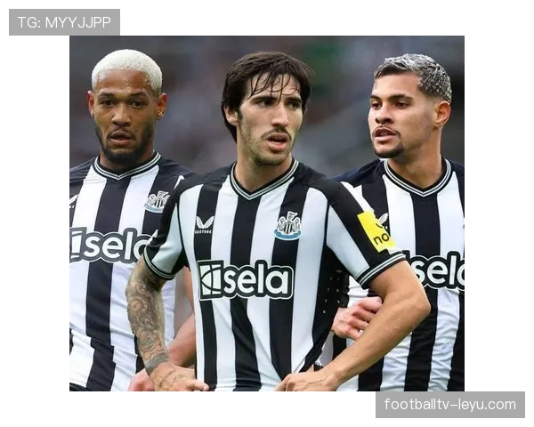 球队历史最佳球员生涯回顾：震撼纪录如何重塑球队未来与球迷记忆