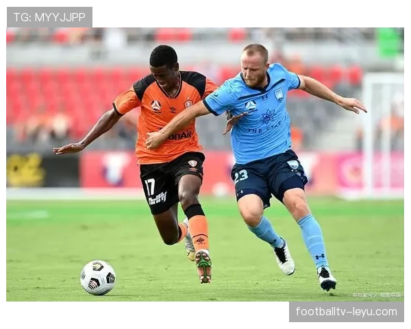 法兰克福防线稳固助球队连战连捷，状态回暖迎赛事新高峰