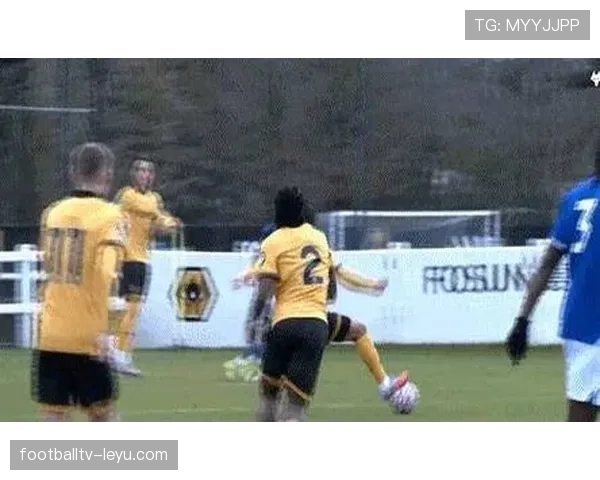 足球场上的魔术：过人技巧集锦彰显球员稳健表现