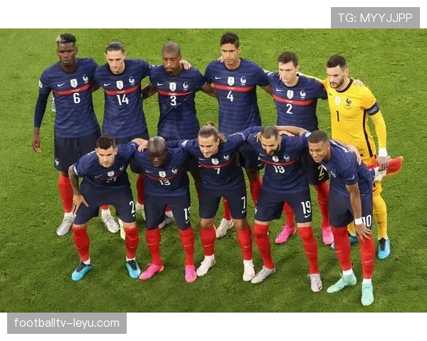 奥地利欧预赛表现稳健，剑指欧洲杯正赛资格