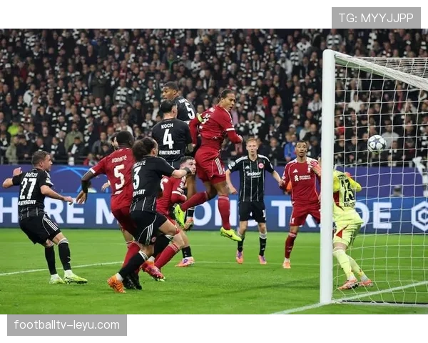 范戴克欧洲杯展现领袖风范，率队冲击荣耀引关注